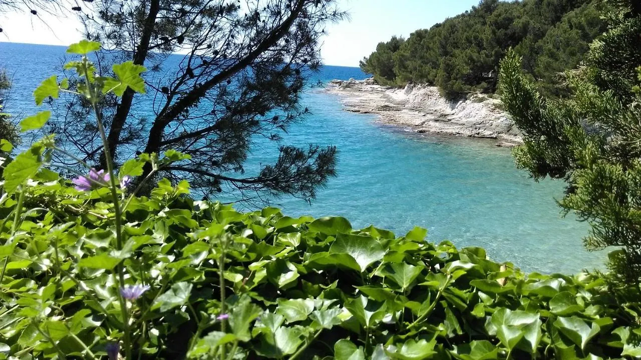 Apartman Bela Apartment Pula